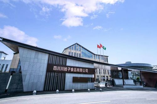 百位行業代表齊聚川娃子 共話食品智造新味來，明星工廠引領行業升級